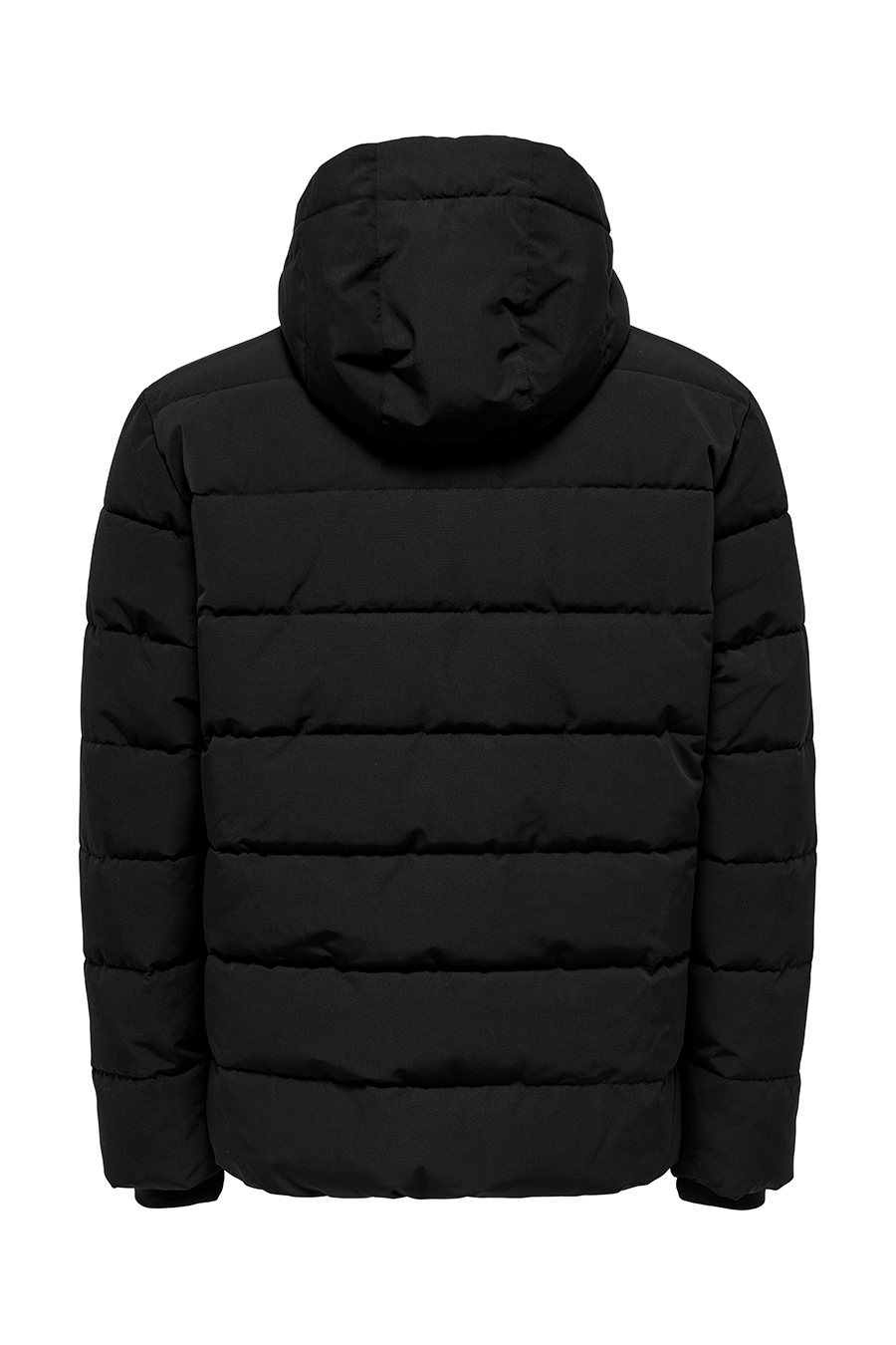 Winterjacke ONLY & SONS 22019598-Black