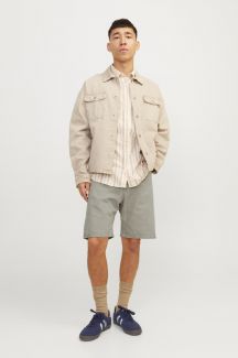 Denim Shorts JACK & JONES 12249043-Winter-Twig
