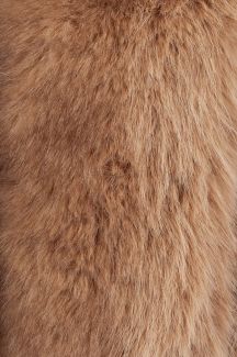 Winterjacke FASCINATE RD9201-BEIGE-APRICOT