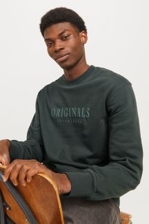 Spordidžemprid JACK & JONES 12285949-Forest-River