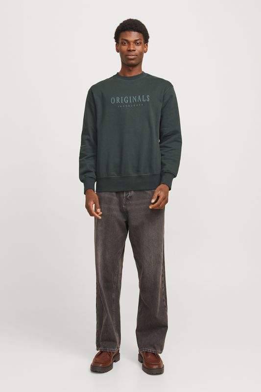 Spordidžemprid JACK & JONES 12285949-Forest-River