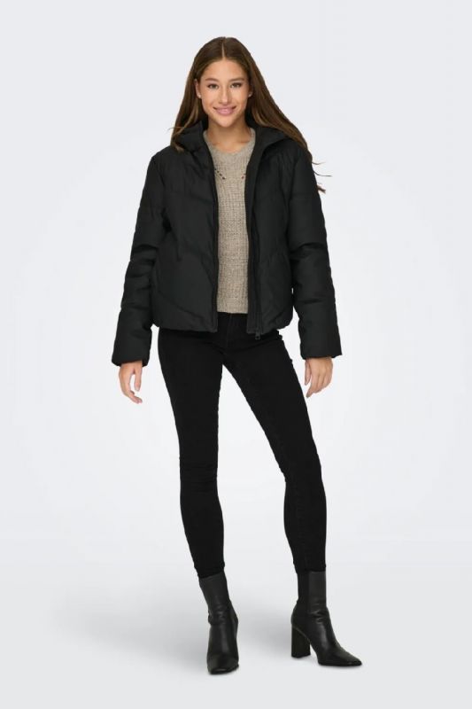  JACQUELINE DE YONG 15277952-Black