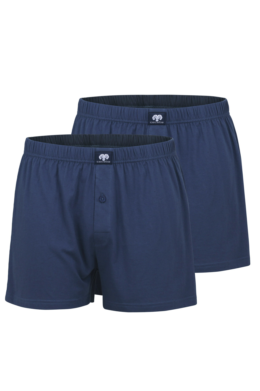 Briefs CECEBA 2675-5609-6979