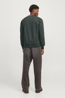 Hoodie JACK & JONES 12285949-Forest-River