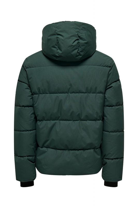 Winter jacket ONLY & SONS 22029661-Darkest-Spruc