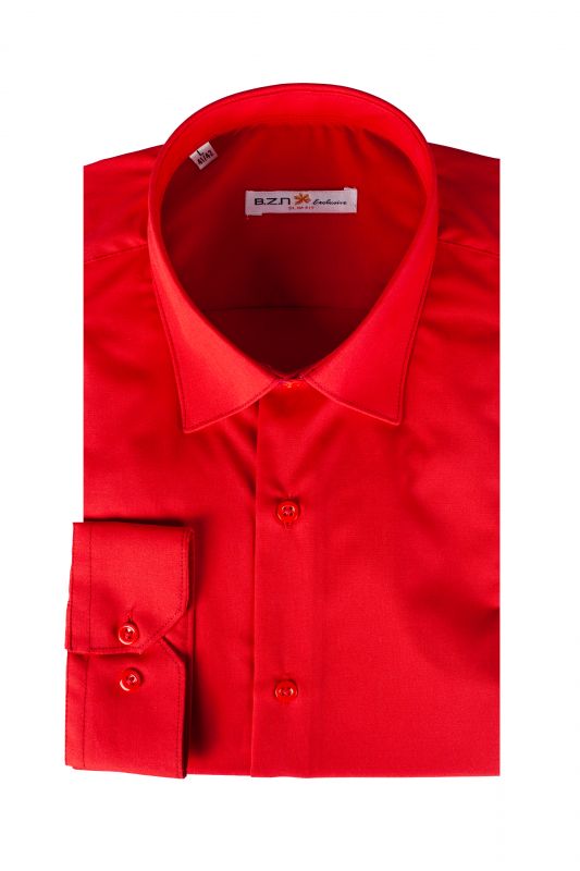 Shirt BZN 1855-S-PP-480