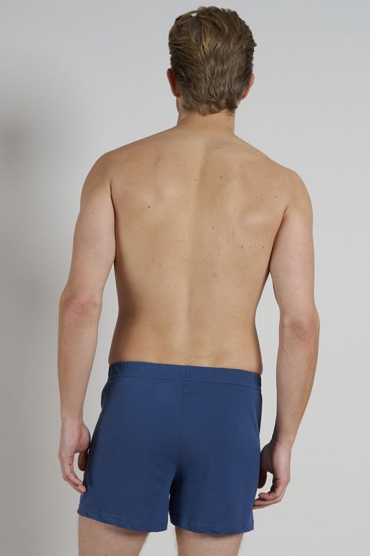 Briefs CECEBA 2675-5609-6979