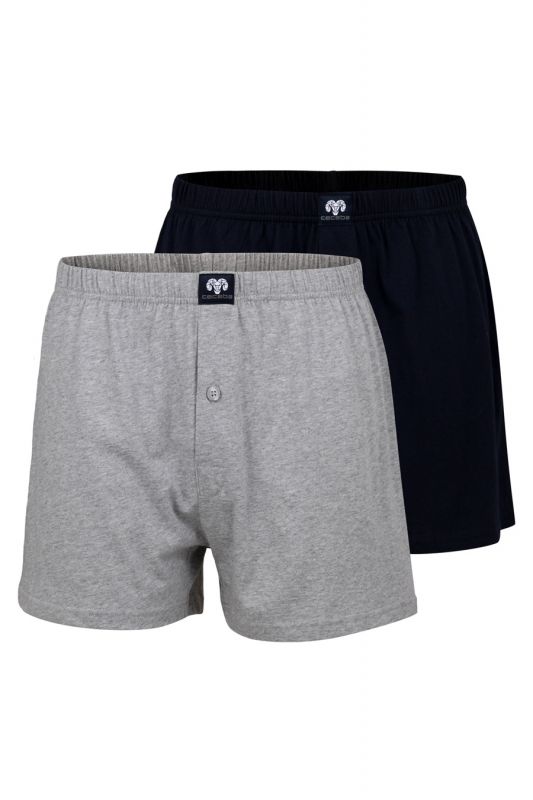 Briefs CECEBA 2675-5609-811