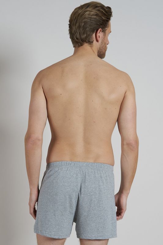 Briefs CECEBA 2675-5609-811