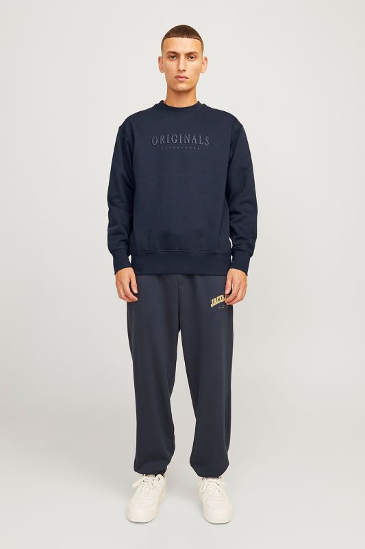 Huppari JACK & JONES 12285949-Sky-Captain