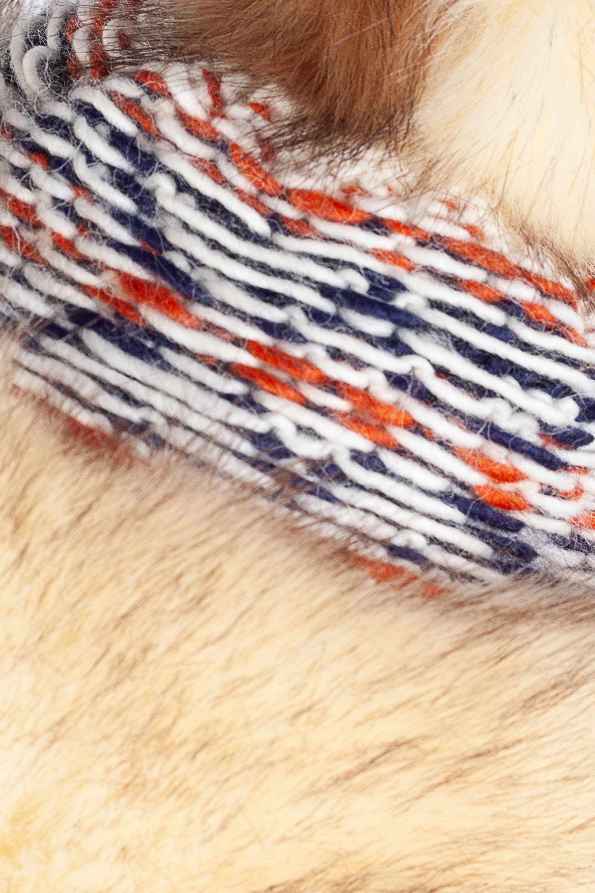 Žieminė kepurė STARLING H013-B-NOWA-BAJKA