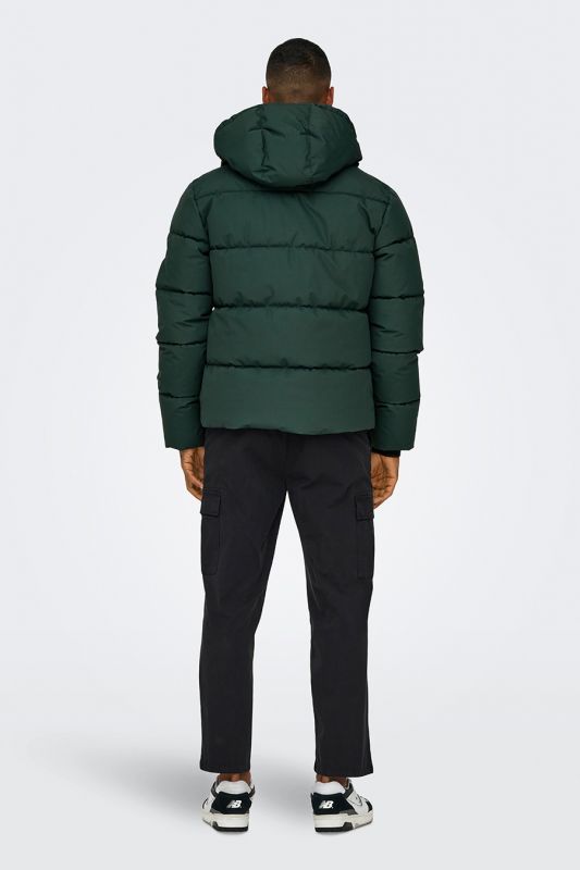 Зимняя куртка ONLY & SONS 22029661-Darkest-Spruc